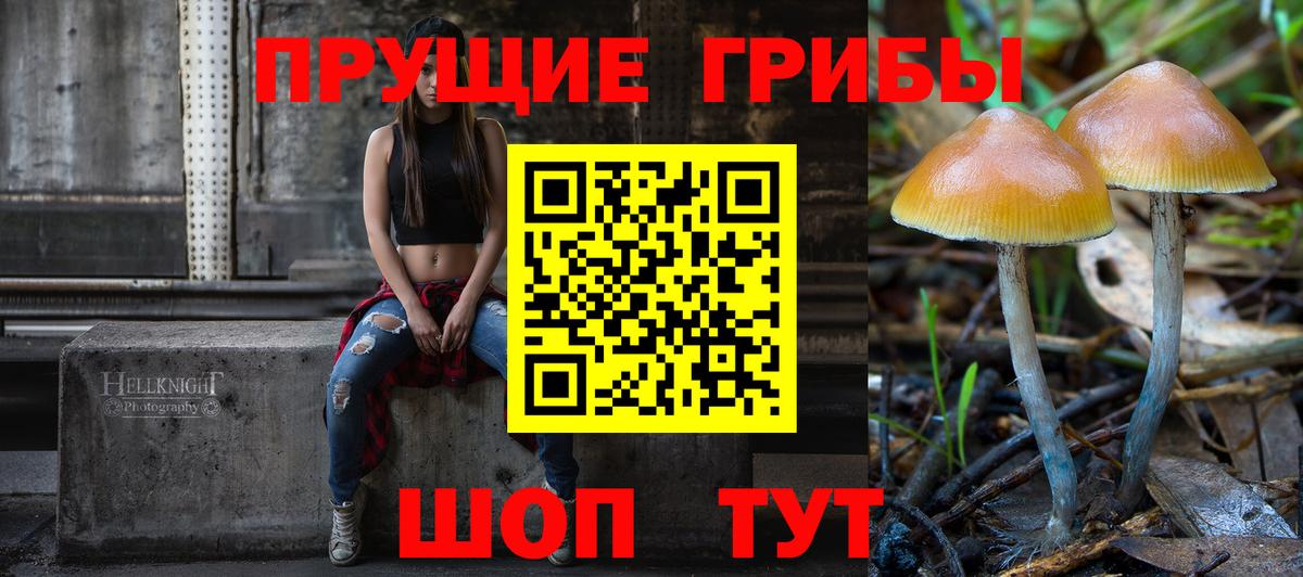 Галлюциногенные грибы прущие грибы Йошкар-Ола