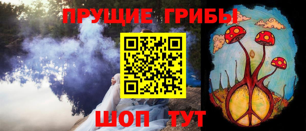где купить   Вход с VPN  Йошкар-Ола  Псилоцибиновые грибы Cubensis  Псилоцибиновые грибы прущие грибы 